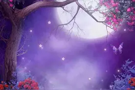 那些歌，你也喜欢吗？（二）图片