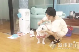 漳州：“80后”女生自发参与动物保护，志愿救助流浪狗，乐为狗寻觅新主人——这位“狗姐姐”很赞图片