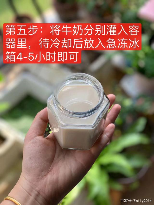 花胶牛奶为什么冻不上 2026年花胶牛奶冻为何不凝固
