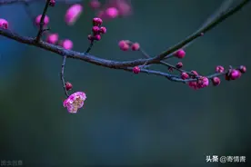52岁女人：告别婚外情，回归到家庭之后，我痛得不能呼吸图片