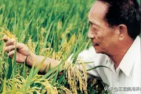 一条内容未发粉丝破千万，袁隆平走红说明了啥图片