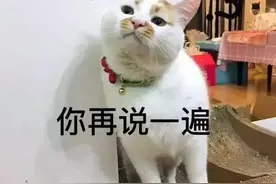猫咪真的很邪门？养了猫之后，家里竟然开始发生灵异事件图片