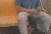 每日GIF：在地铁忘记戴耳机怎么办，？图片