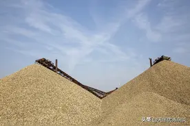 河里的沙石有多暴利，你想不到图片