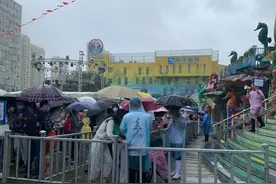 挤爆了！宁波某景区半价日，暴雨天竟也人山人海！网友：堵死图片
