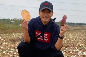 郭晓东回村，一身名牌晒地瓜干躺玉米地，被赞接地气不忘本图片