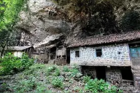 故事：八旬夫妻“寄居山洞与世隔绝”, 一年杀一头猪,婉拒 ：天降横财图片