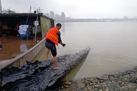 长达25米！南充洪峰过境带来的那根乌木“上岸”了图片