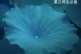 初夏养生秘籍：作息这样调、水果这样吃、这些粥喝起来图片