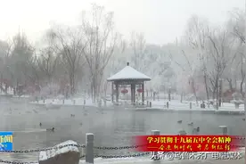 水清河畅野鸭游弋 水磨河治理见成效图片