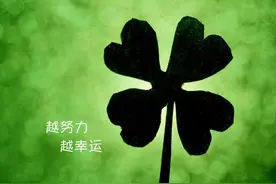 可怕的第二名图片