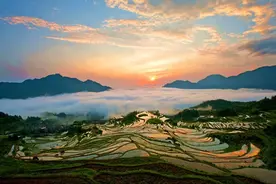 秋日绝景！浙9处梯田，马上就要刷爆朋友圈图片