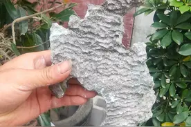 山上遇到很多奇石，奇形怪状的石头，很合适做盆景图片