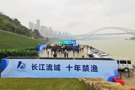 国内的路亚现状，闻者伤心听者落泪｜路亚说图片