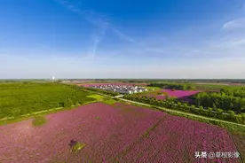 农民不干活也有“年薪”，四季打工挣钱，老两口却产生矛盾图片