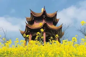 一校三地、占地2688亩，培养多位院士，今天重庆这所高校迎来66岁生日图片