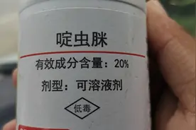 记住了，啶虫脒别单用，和这些药剂搭配，前打后落，管的时间长！图片