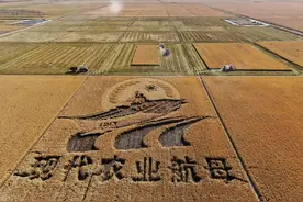 以龙头企业或合作社为主体，农村土地流转经营的优劣势分析图片