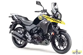 铃木DL250，一台像拉力又不完全像的拉力车，你值得拥有图片