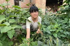 邢台女孩陈雪获正能量励志学子追梦奖学金一万元图片