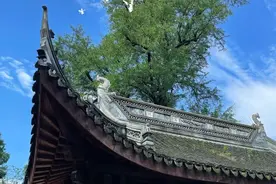 浙江有个神秘十足的安静寺院，不止可以吸氧，更能修身养性图片