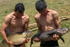 昆明周边休闲垂钓攻略，10个水库钓点收藏好，够你慢慢钓一年图片