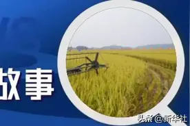 袁隆平心底的五个人生“头条”图片