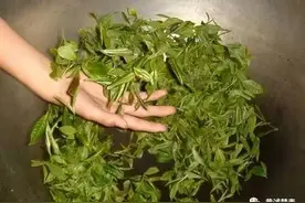 生活小窍门536：街头“现炒茶”别忙喝！图片