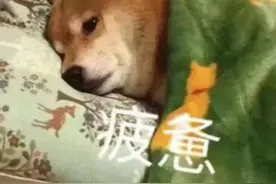 睡姿不对？起来重睡图片