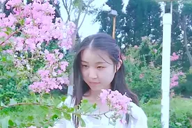 一首天籁之音《月下莲花开》唯美动听，听得心儿都醉了！
