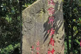 惊心动魄的张家界之行图片
