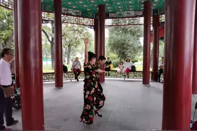 到天津水上公园转转图片
