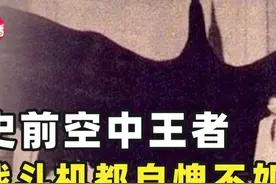 什么鸟类不拍翅膀也能飞？史前阿根廷巨鹰，现代飞机都无法超越？图片