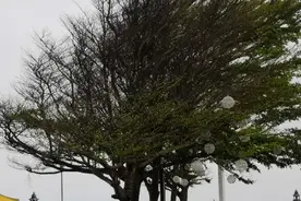 今日听歌：杨宗纬—红尘来去一场空图片