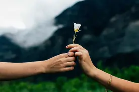 当爱情被遗忘在时光里，聪明的人都懂得放过自己图片