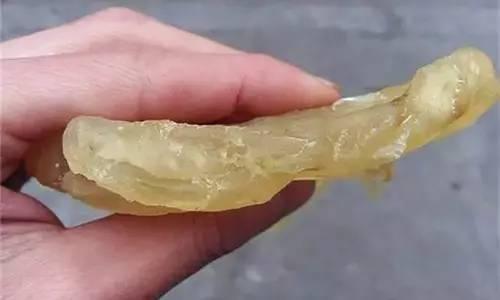 干黄花胶有不新鲜的吗 2026年干黄花胶有不新鲜的吗怎么吃