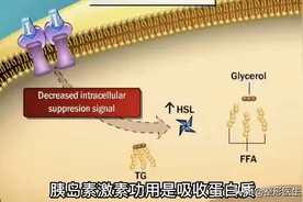 从整形医生的角度谈一谈皮肤松弛下垂的改善方法图片