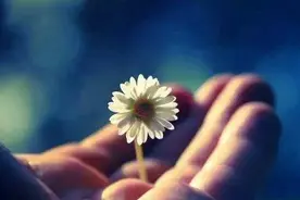 愿你有菩萨心肠，更有金刚手段图片