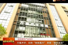 迈向现代产业强市 万魔声学：玩转“智能魔方”刷新“衡阳速度”图片