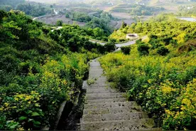 广安乡村旅游精品线路（一）：寻红色经典，享品质休闲图片