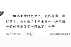 还记得那年我们一起看过的《走近科学》吗？开头恐怖，结尾搞笑图片