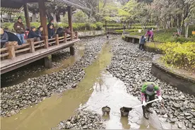 达州人民广场旁景观池味道有点“上头”市园林处给它做了个“全身SPA”图片