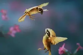 天天想着一个人，这是爱吗！图片