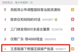 王思聪旗下公司破产：拖鞋、T恤、手机壳…一起拍卖了图片