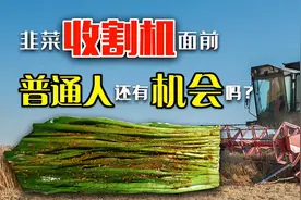 三大央行加息，你我能否独善其身？图片