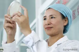 “椰果”里有大世界 海南制造企业迎来自贸港新契机图片