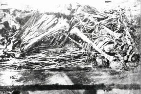 秦始皇是不是暴君？从湖北出土的1155枚秦简，能否找到答案？图片