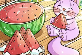 夏日专属壁纸｜这么少女心满满的壁纸，小仙女们不要错过啦图片