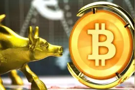 这一轮比特币上涨，为什么这么牛？图片