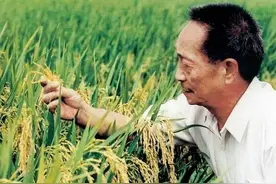 争议的袁隆平：90岁身价过亿，被指不能代表杂交水稻图片